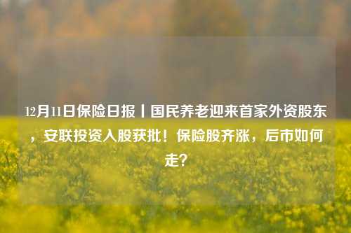 12月11日保险日报丨国民养老迎来首家外资股东，安联投资入股获批！保险股齐涨，后市如何走？